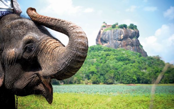 Sigiriya-Löwen-Felsen