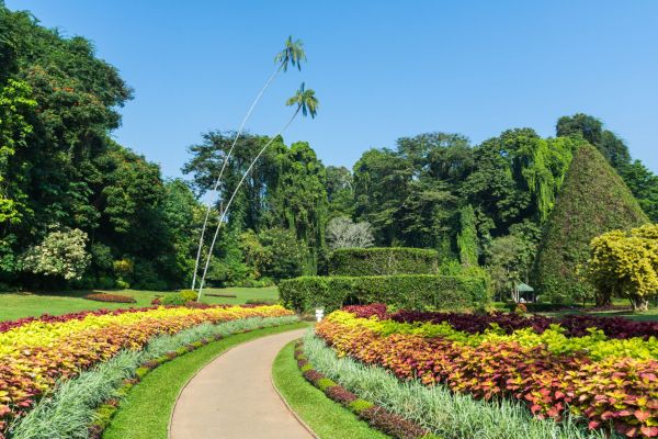 Royal-Botanic-Garden