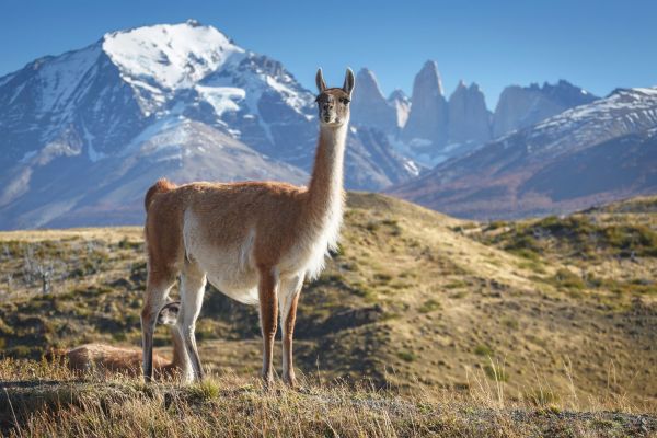 Torres-del-Paine-NP