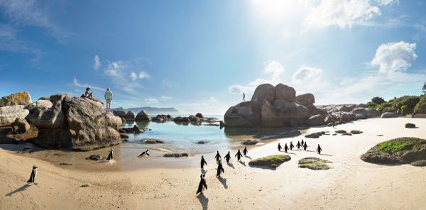 Südafrika-Boulders-Beach