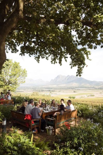 Südafrika-Wein-und-Genuss