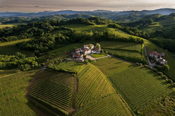 Weingut-Gradis’Cuitta