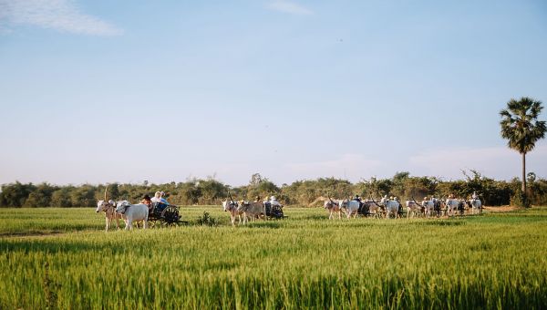 Siem_Reap