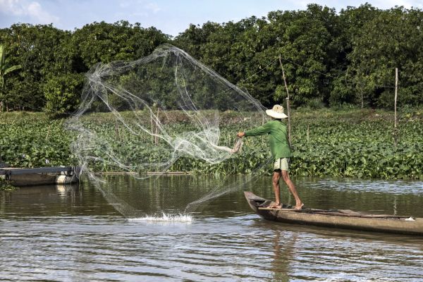 Vietnam