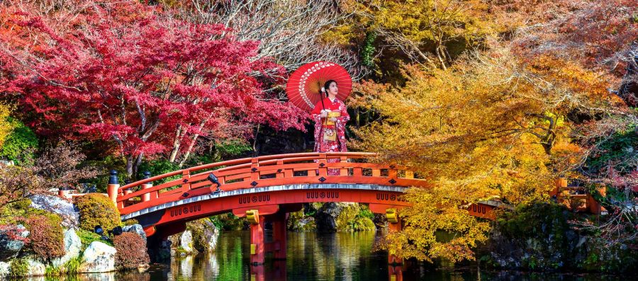 Japan-Herbstlaub